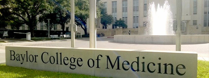 Baylor College Of Medicine Campus - MedicineWalls